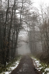 Similar image 21688309