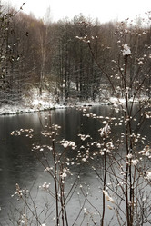 Similar image 21686741