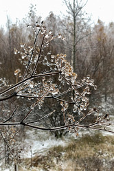 Similar image 21686743