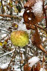 Similar image 21688311