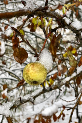 Similar image 21686744