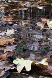 Similar image 21686745