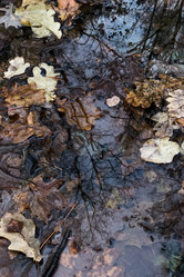 Similar image 21686746