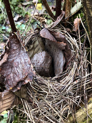 Similar image 21686747