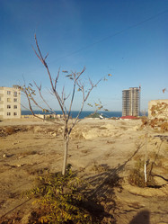 Similar image 21688682