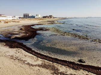 Similar image 21688685