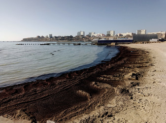 Similar image 21688686