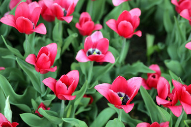 Similar image 21693189