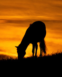 Similar image 21687341