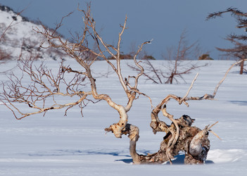 Similar image 21687342