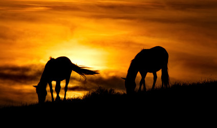 Similar image 21687343