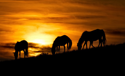 Similar image 21687344