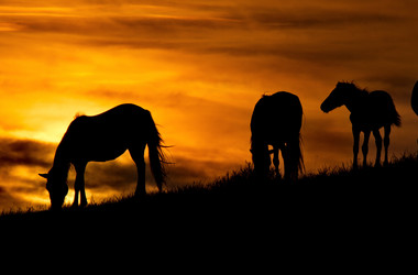 Similar image 21687345