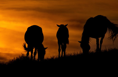 Similar image 21687346