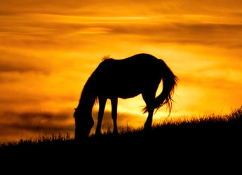 Similar image 21687347