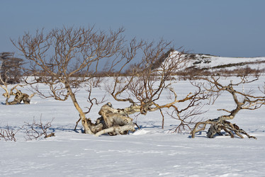 Similar image 21687348