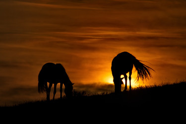 Similar image 21687349