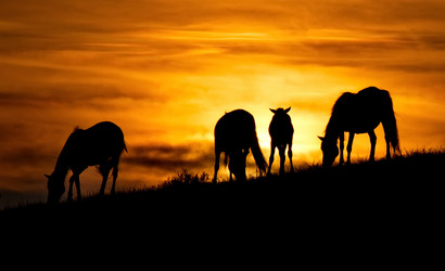 Similar image 21687350