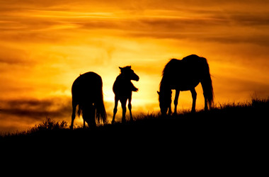 Similar image 21687351