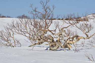 Similar image 21687354