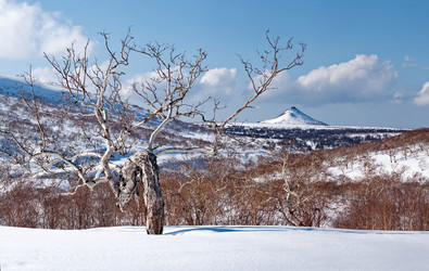 Similar image 21687355