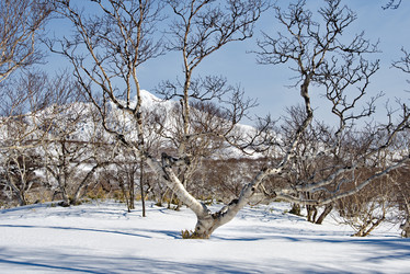 Similar image 21687356