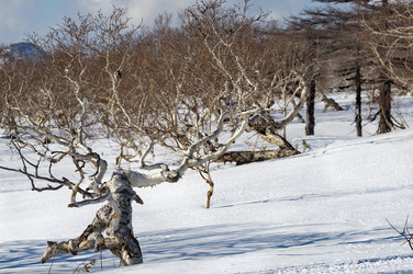 Similar image 21687357