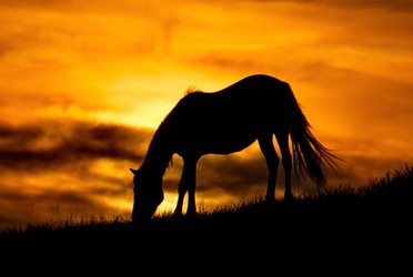 Similar image 21687358