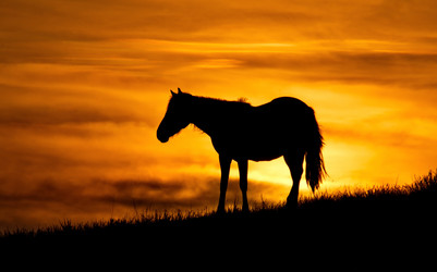 Similar image 21687359