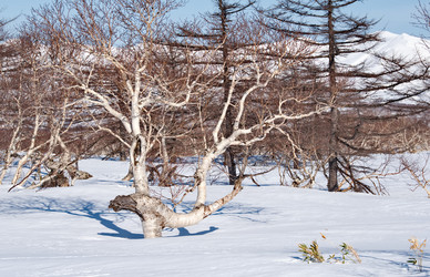 Similar image 21687361