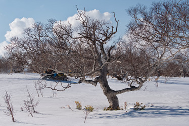 Similar image 21687362