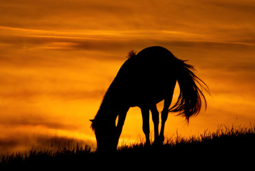 Similar image 21687363