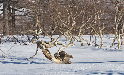 Similar image 21687364