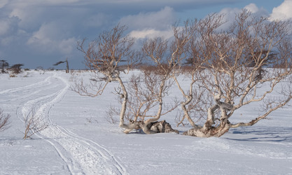 Similar image 21687365