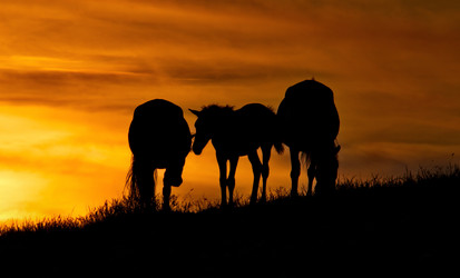 Similar image 21687368