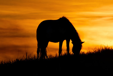 Similar image 21687369