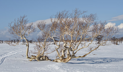 Similar image 21687370