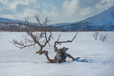 Similar image 21687371