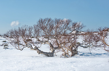 Similar image 21687372