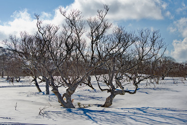 Similar image 21687374