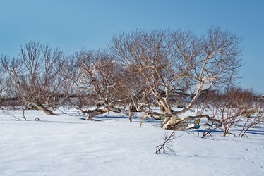 Similar image 21687375