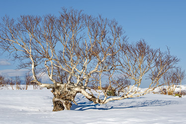 Similar image 21687376