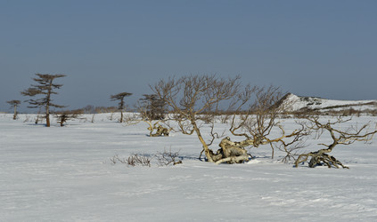 Similar image 21687377