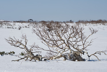 Similar image 21687378