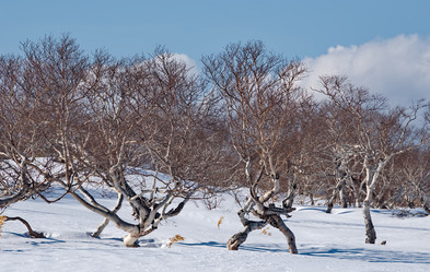 Similar image 21687380