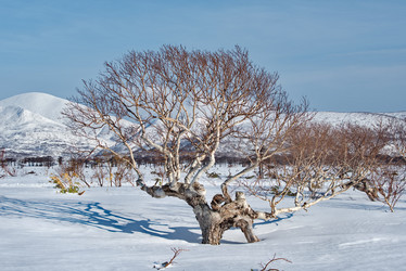 Similar image 21687382