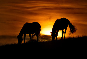 Similar image 21687383