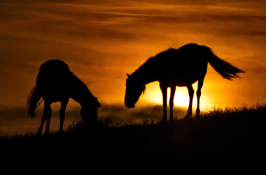 Similar image 21687384