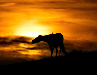 Similar image 21687385