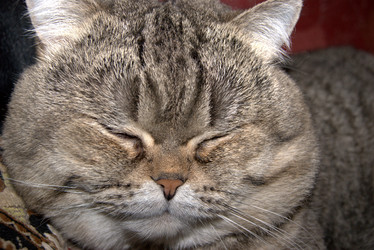 Similar image 21688518